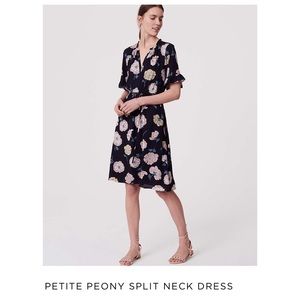 Navy blue Peony split neck dress NWT. Never worn.